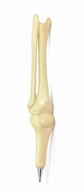 Pen in de vorm van bot; knie